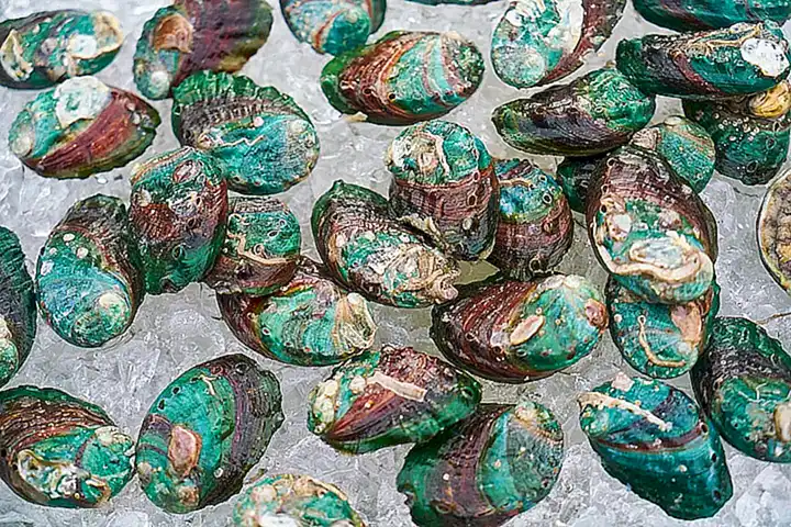 3. Evitar los mejillones crudos o mal cocidos