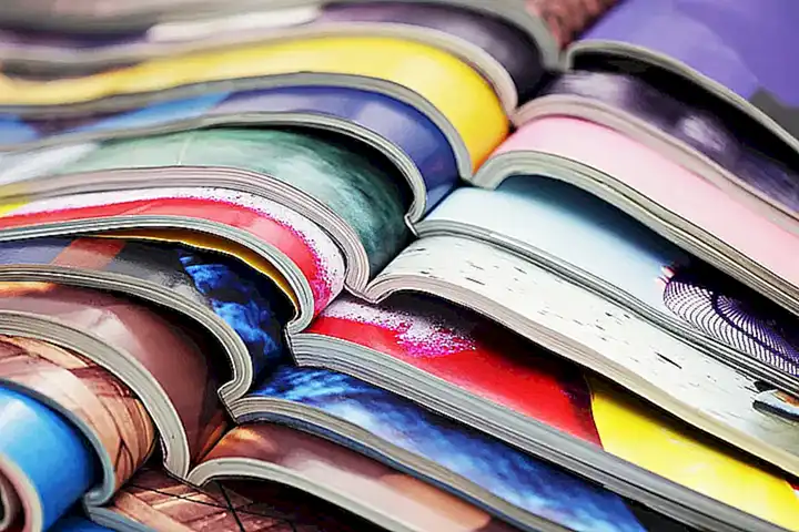 4. Investiga en internet y revistas especializadas