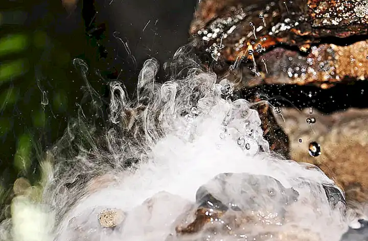 Agrega caldo de pescado y deja cocinar a fuego lento