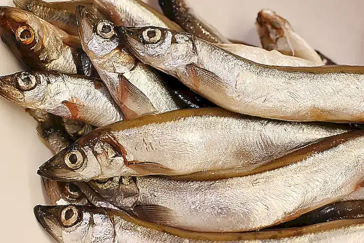 Agrega caldo de pescado y deja cocinar hasta que las zamburiñas estén tiernas
