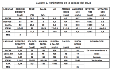 Altura ideal para pescar langostinos en Galicia: Guía completa