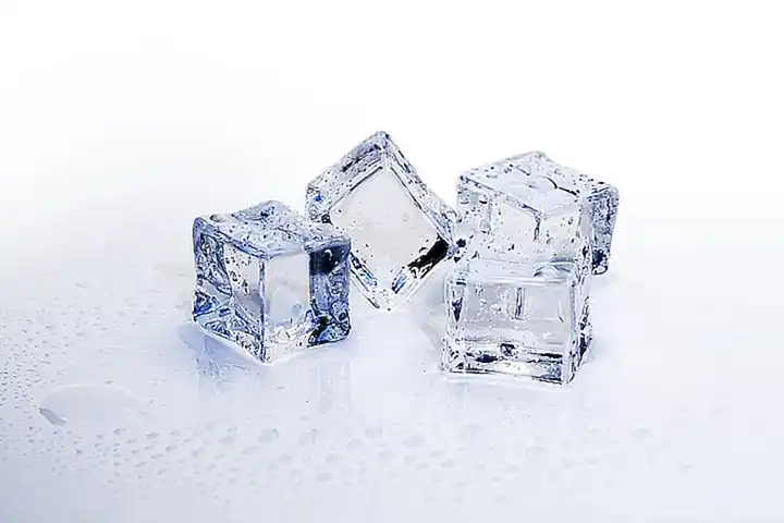Añade una capa de hielo al recipiente para mantenerlas frías