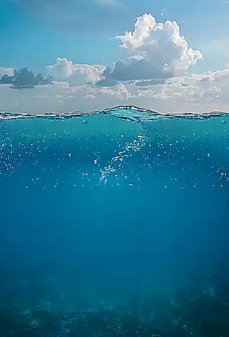 Asegúrate de que la trampa esté bien colocada y anclada al fondo del mar
