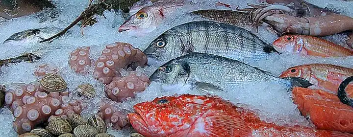 Beneficios de comprar pulpos frescos en los mercados de pescado locales