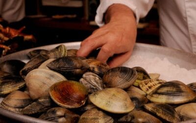 Beneficios de las almejas en tu dieta diaria: descubre su importancia
