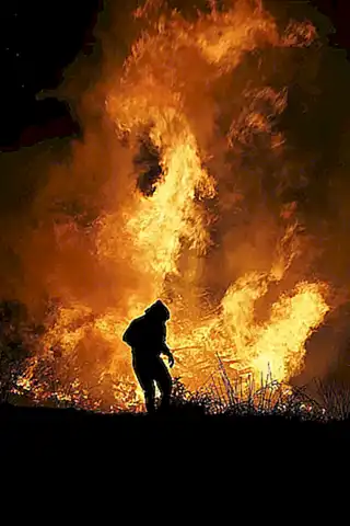 Calienta una sartén a fuego medio-alto y agrega un poco de aceite