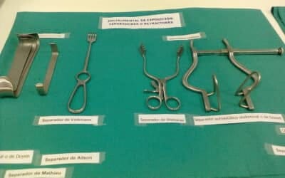 Características de la pinza del cangrejo pinocts: información completa