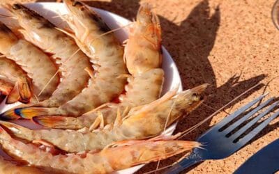 Características y usos del langostino tigre: un manjar del mar