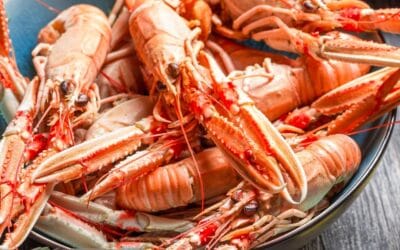 Cigalas a la gallega: receta fácil y deliciosa