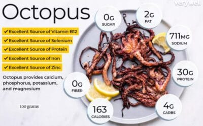 Colesterol en el pulpo: datos y beneficios por cada 100 gramos