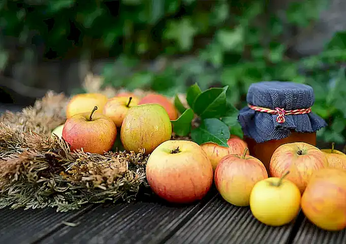 ¿Cómo conservar las cigalas frescas?