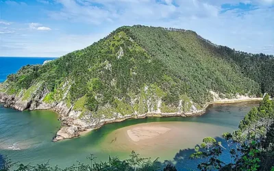 Cómo se cultiva el marisco en las rías gallegas