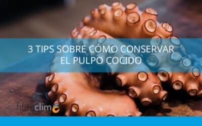 Congelar pulpo cocido: cómo hacerlo correctamente