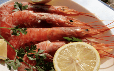 Consejos para disfrutar del marisco: temperatura ideal