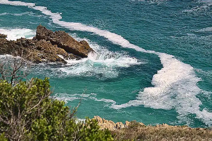 Consulta las tablas de mareas para saber cuándo la marea está baja