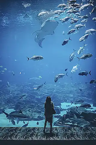 Controla la temperatura del acuario