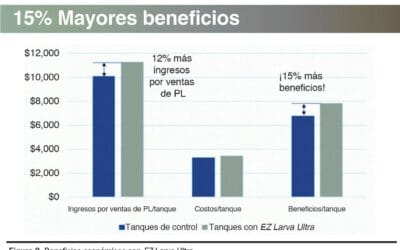 Descubre cuánto mide de promedio el camarón: datos y consejos
