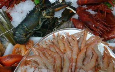 Descubre las delicias marinas: ¿Cuál es el mejor marisco del mundo?
