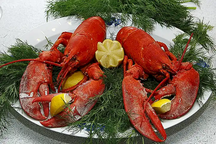 Disfruta de tu bogavante perfectamente cocido