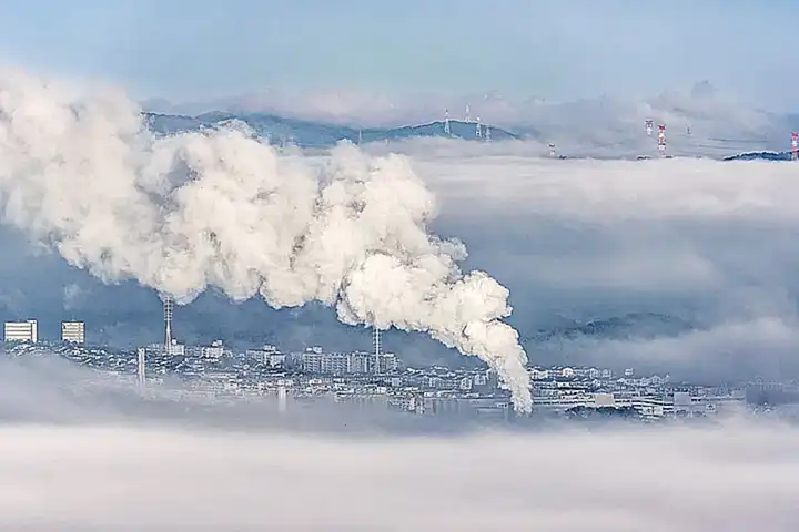 El dióxido de carbono se expulsa del cuerpo del pulpo a través del mismo proceso