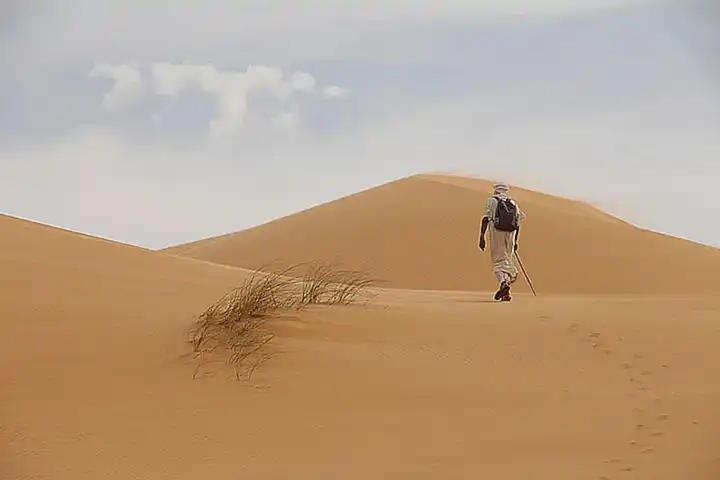 El hábitat de los pulpos en España y Mauritania