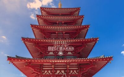 El pulpo en la cultura japonesa: una mirada a su aspecto sexual