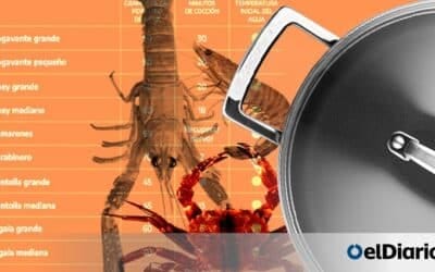 El tiempo exacto para hervir un bogavante: consejos y trucos
