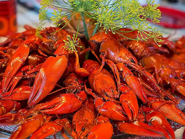 Esta habilidad es única en los cangrejos de río y los distingue de otras especies de cangrejos