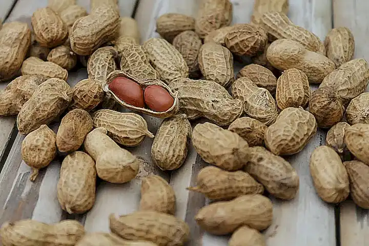 Estas proteínas y lípidos ayudan a fortalecer la estructura del caparazón y protegerlo de daños externos