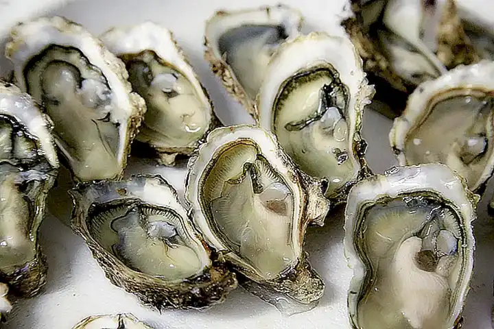 Evita consumir ostras si tienes antecedentes de reacciones alérgicas a mariscos