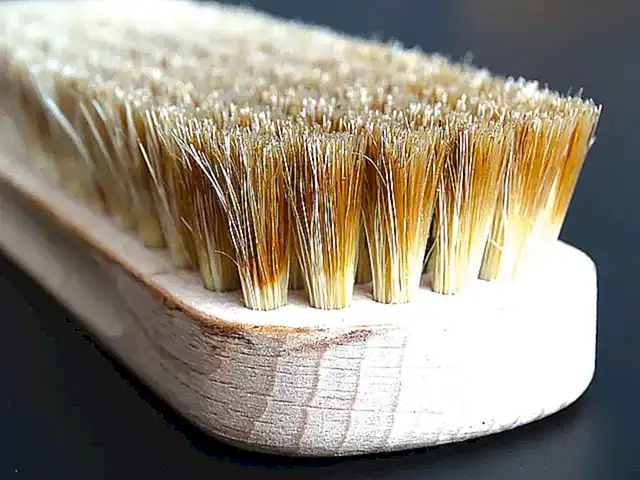 Frotar cada mejillón con un cepillo de cerdas suaves para eliminar la suciedad