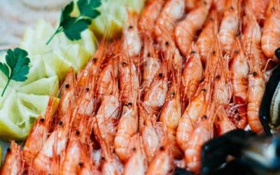 Grupo y características de los camarones: todo lo que debes saber