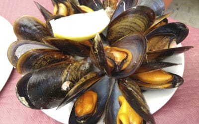 Guía práctica: Cómo identificar mejillones frescos que flotan o se hunden