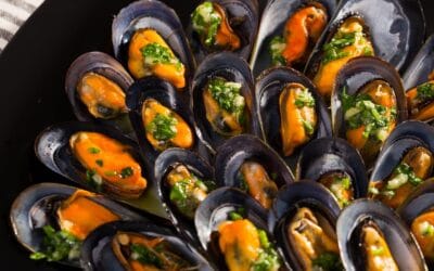 Guía práctica: Diferencia entre mejillones congelados cocidos y crudos