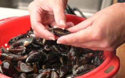 Guía práctica: Lavar los mejillones antes de cocinarlos