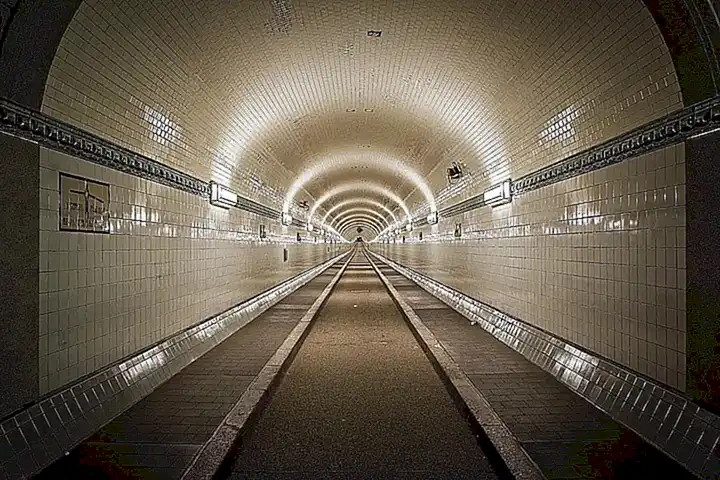 Haz un túnel en un extremo de la nasa para que los animales puedan entrar