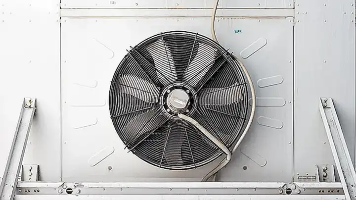 Infórmate sobre las condiciones climáticas ideales para presenciar el espectáculo