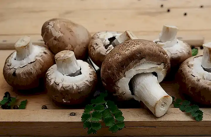 Ingredientes necesarios
