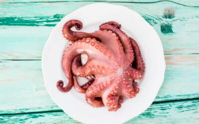 Introducción de pulpo en la dieta del bebé: consejos y recomendaciones