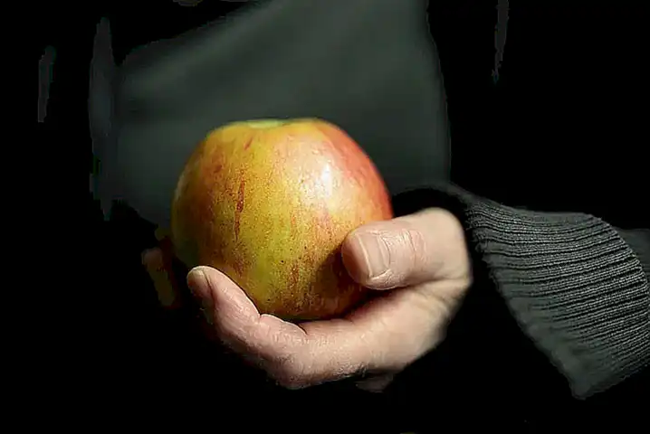 La dieta como factor determinante