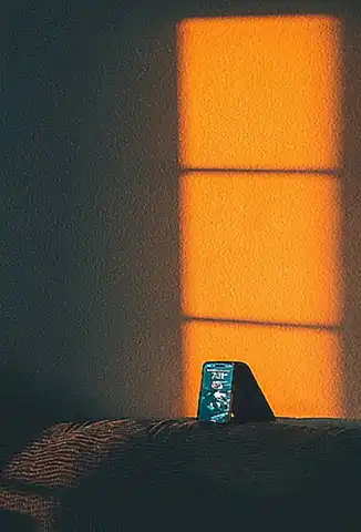 La diferencia entre ambos sexos es principalmente estética y reproductiva