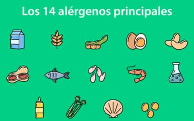 La ige del langostino y las alergias: todo lo que necesitas saber