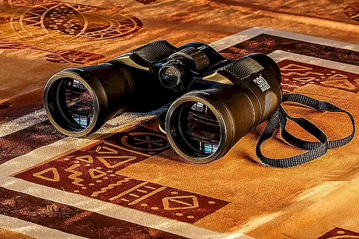 La importancia de la visión microscópica