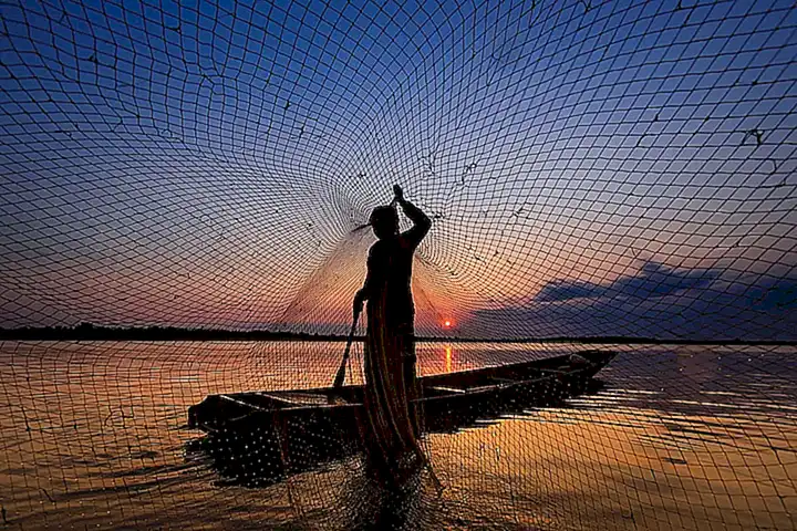 La pesca de pulpo es una tradición arraigada en ambas culturas