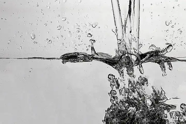 La ubicación actual de las ostras puede variar según la temporada y las condiciones del agua