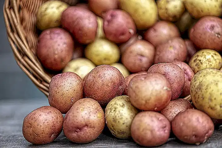 Lava bien las patatas para eliminar cualquier suciedad