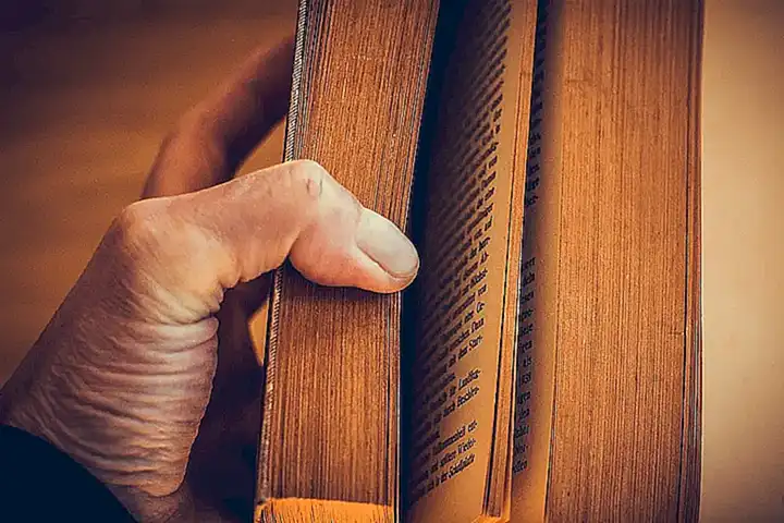Lectura de cuentos o libros sobre cangrejos