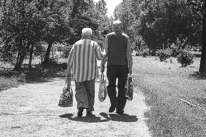 Longevidad y ciclo de vida