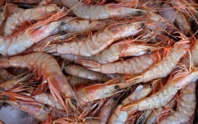Los langostinos sin piel: ¿es malo comerlos así?