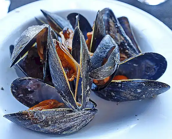 Los mejillones congelados cocidos son más fáciles de encontrar y están disponibles en la mayoría de los supermercados